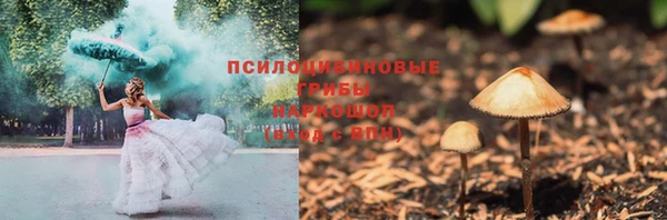 ECSTASY Магас