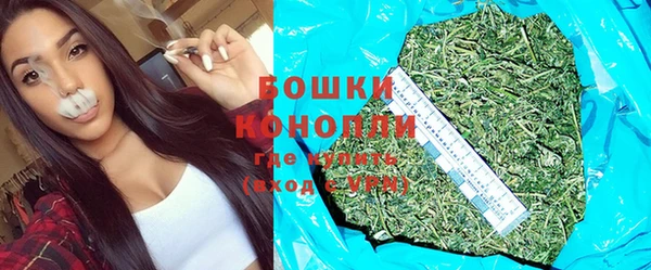молекула духа Майский