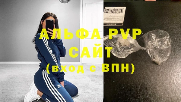 ECSTASY Магас