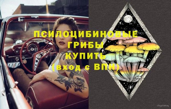 ECSTASY Магас