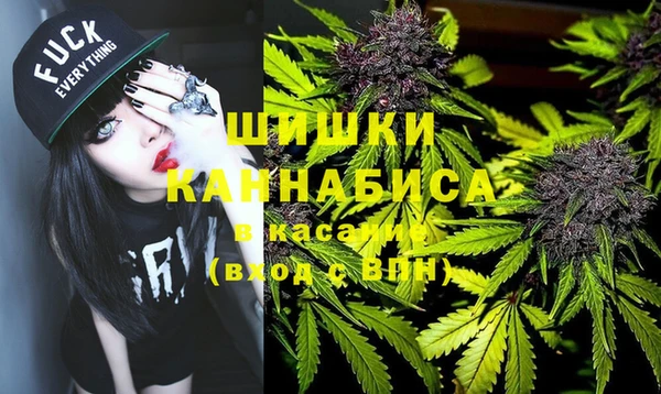 дживик Липки