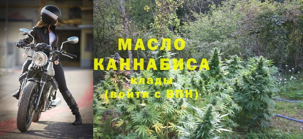 молекула духа Майский