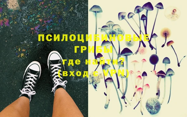 молекула духа Майский