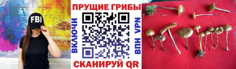 KRAKEN ссылки  Оханск  Галлюциногенные грибы Magic Shrooms  даркнет сайт 